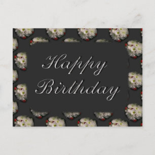 Cartão Postal Feliz aniversário