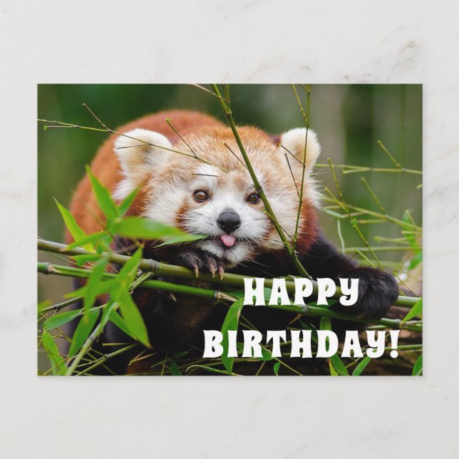 Cartão Postal Feliz aniversário (Frente)