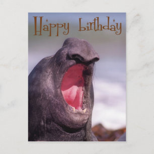 Cartão Postal feliz aniversário