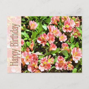 Cartão Postal feliz aniversário