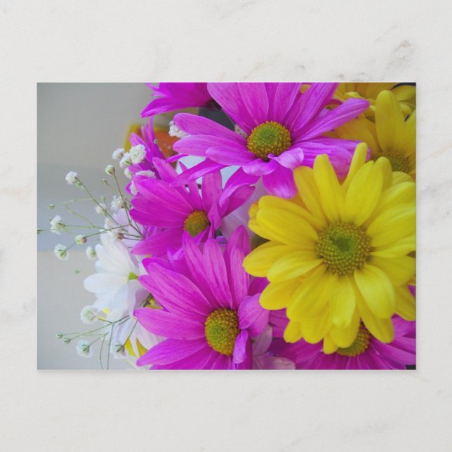 Cartão Postal Feliz aniversário!! (Frente)