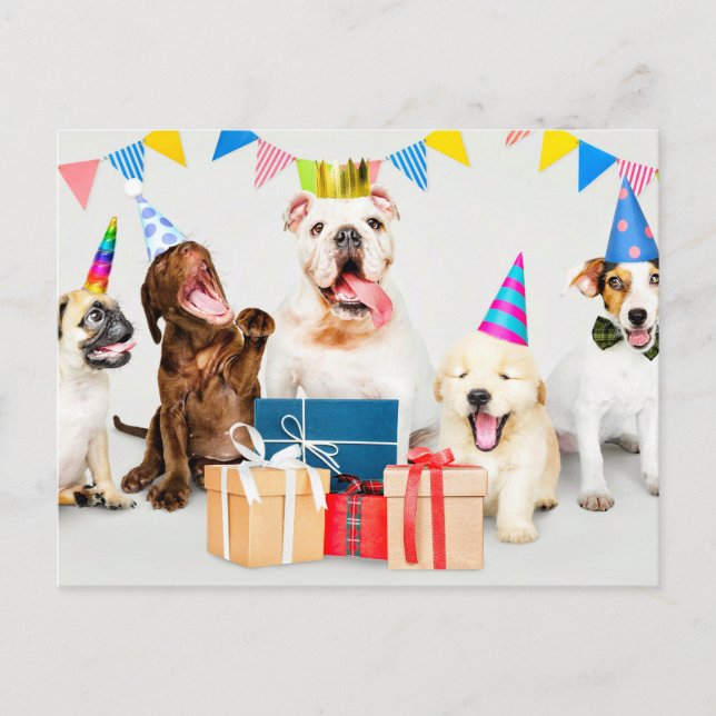 Cartão Postal Feliz Aniversário Adoráveis Animais de Festa (Frente)