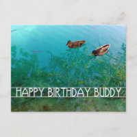 feliz aniversário amigo (dois patos)