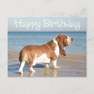 Cartão Postal Feliz Aniversário Bassado Cachorro Cachorro Posta