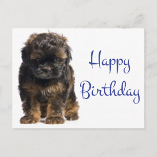 Cartão Postal Feliz Aniversário Bebê Havanês Cachorro