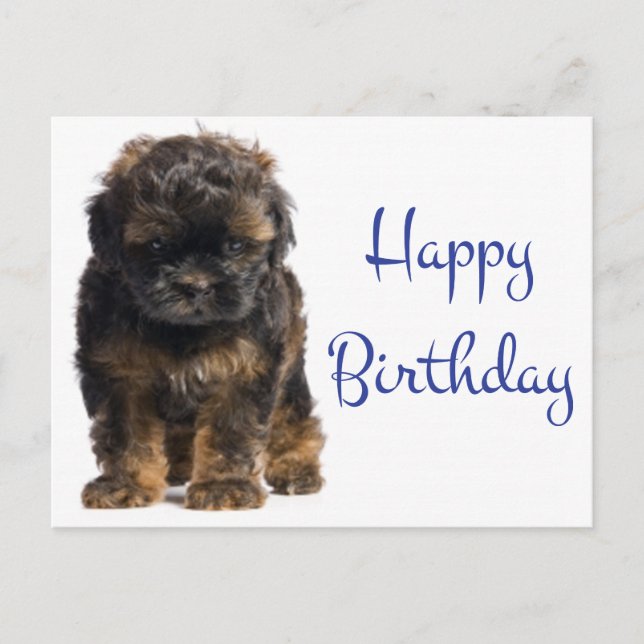 Cartão Postal Feliz Aniversário Bebê Havanês Cachorro (Frente)