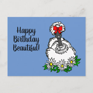 Cartão Postal Feliz Aniversário Bela Galinha Silkie Showgirl P