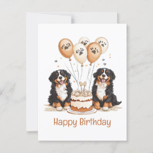 Cartão Postal Feliz Aniversário Bernese Mountain Dogs