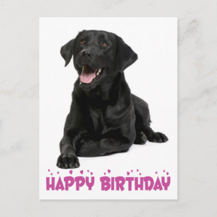 Cartão Postal Feliz aniversário Black Labrador Retriever Puppy D