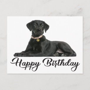 Cartão Postal Feliz aniversário Black Labrador Retriever Puppy D