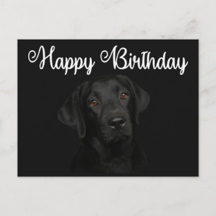 Cartão Postal Feliz aniversário Black Labrador Retriever Puppy D