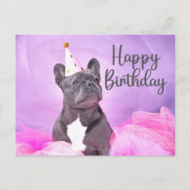 Cartão Postal Feliz Aniversário Bonito Engraçado Cachorro Francê (Frente)