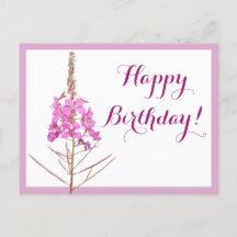 Feliz aniversário bonito rosa floral lindo