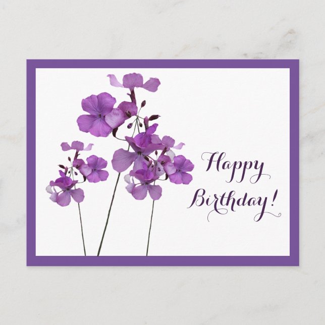 Cartão Postal Feliz aniversário bonito roxo simples floral moder (Frente)