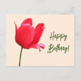 Cartão Postal Feliz aniversário bonito tulipa vermelha floral si