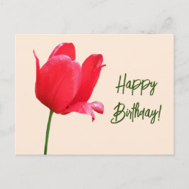 Cartão Postal Feliz aniversário bonito tulipa vermelha floral si