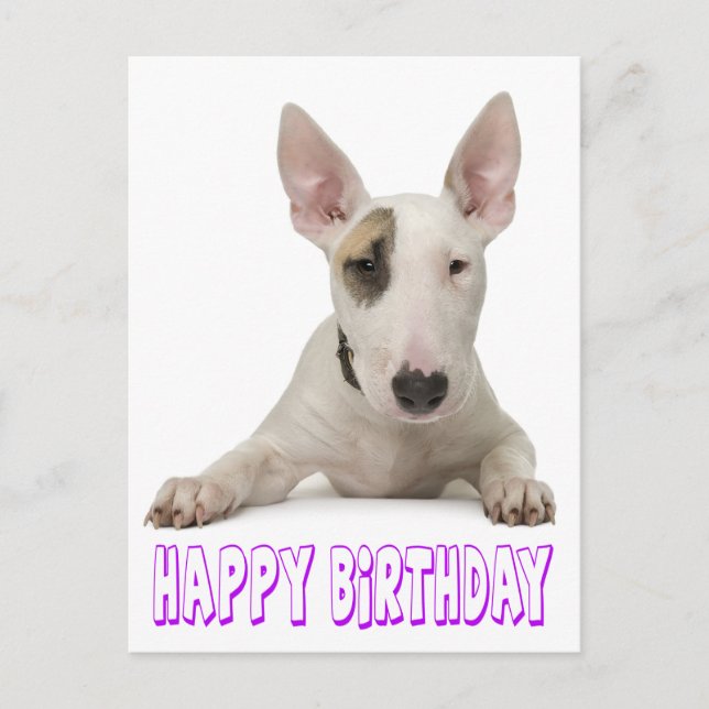 Cartão Postal Feliz Aniversário Bull Terrier Puppy Dog (Frente)