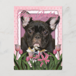 Cartão Postal Feliz Aniversário - Bulldog Francês - Teal