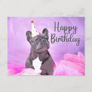 Cartão Postal Feliz Aniversário Cachorrinho Francês Engraçado Fo