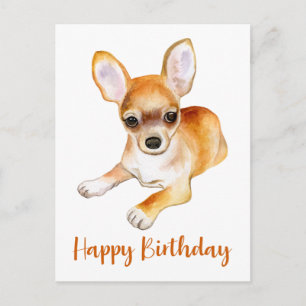 Cartão Postal Feliz Aniversário Cachorro Cachorro Chinhuahua Cac