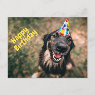 Cartão Postal Feliz aniversário, Cachorro Engraçado, no Chapéu d
