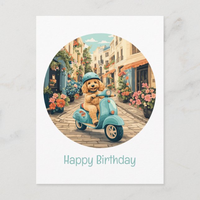 Cartão Postal Feliz Aniversário Cachorro Goldendoodle Pilotando  (Frente)