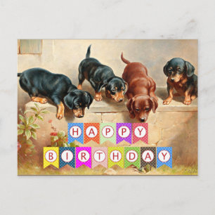 Cartão Postal Feliz aniversário, cachorros Dachshund,