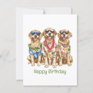 Cartão Postal Feliz Aniversário Cães Retriever Dourados Havaiano