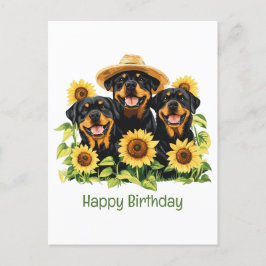 Cartão Postal Feliz Aniversário Cães Rottweiler Girassóis