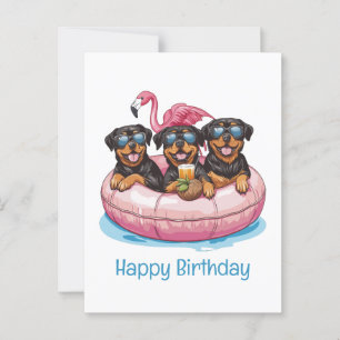 Cartão Postal Feliz Aniversário Cães Rottweiler Tubo de Piscina 