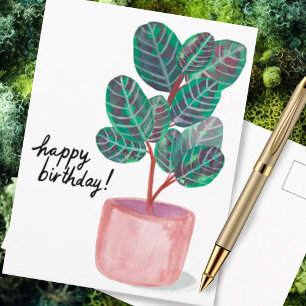 Cartão Postal Feliz Aniversário Calathea Prayer Plant Aquarela
