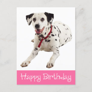 Cartão Postal Feliz Aniversário Cão Cachorro Dalmaciano Feliz