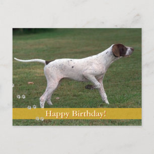 Cartão Postal Feliz aniversário!   Cão fotográfico