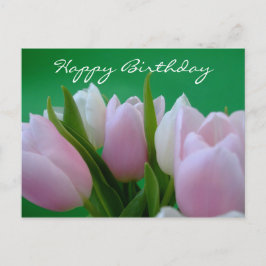 Cartão Postal Feliz Aniversário - Cartão-postal Tulips