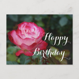Cartão Postal Feliz Aniversário, Cherry Parfait Rosa nº 3 Cart