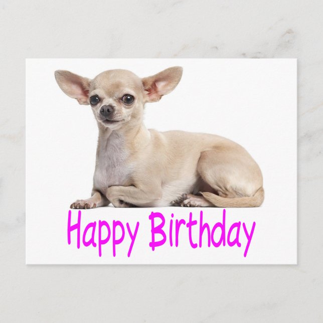 Cartão Postal Feliz Aniversário Chihuahua Puppy Cachorro Roxo (Frente)