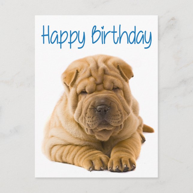 Cartão Postal Feliz Aniversário Chinês Shar Pei Puppy Dog Card (Frente)
