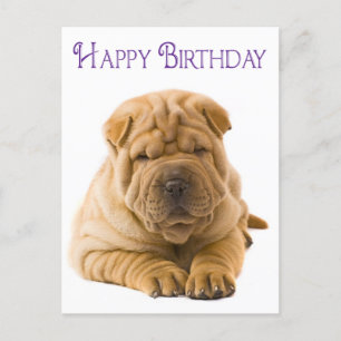 Cartão Postal Feliz Aniversário Chinês Shar Pei Puppy Dog Card