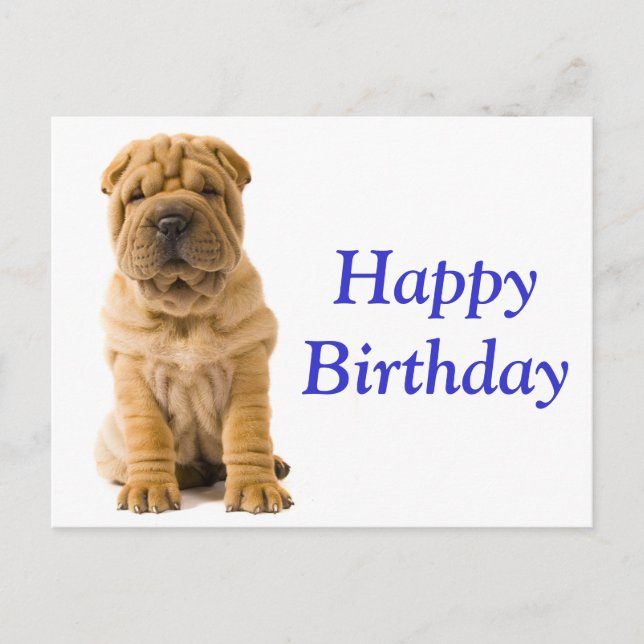 Cartão Postal Feliz Aniversário Chinês Shar Pei Puppy Dog Card (Frente)