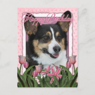 Cartão Postal Feliz aniversário - Corgi