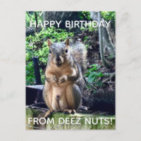Feliz Aniversário da parte de Deez Nuts Foto Engra