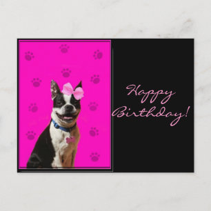 Cartão postal Feliz Aniversário de Boston Terrier