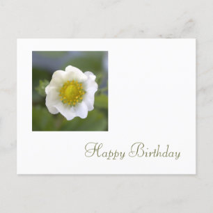 Cartão Postal feliz aniversário de flor branca de morango