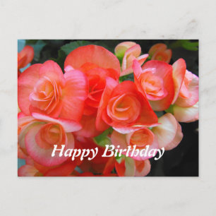 Cartão Postal feliz aniversário de flores vermelhas da mendicina