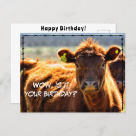 Cartão Postal Feliz Aniversário Divertido Contos do Campo de Cor