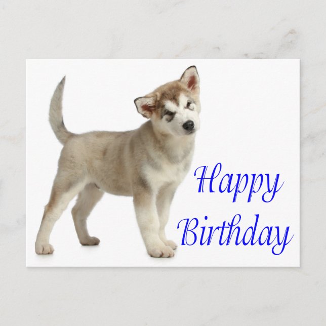 Cartão Postal Feliz Aniversário do Alaskan Malamute Puppy Dog Ca (Frente)