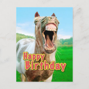 Cartão Postal Feliz aniversário do cavalo feliz