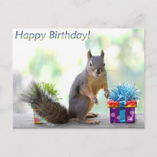 Cartão Postal Feliz Aniversário do Esquilo!