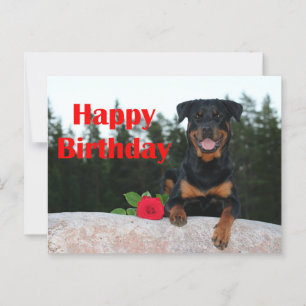 Cartão Postal feliz aniversário do rottweiler