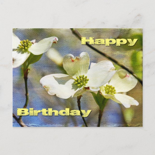 Cartão Postal Feliz aniversário - Dogwood Blossoms (Frente)